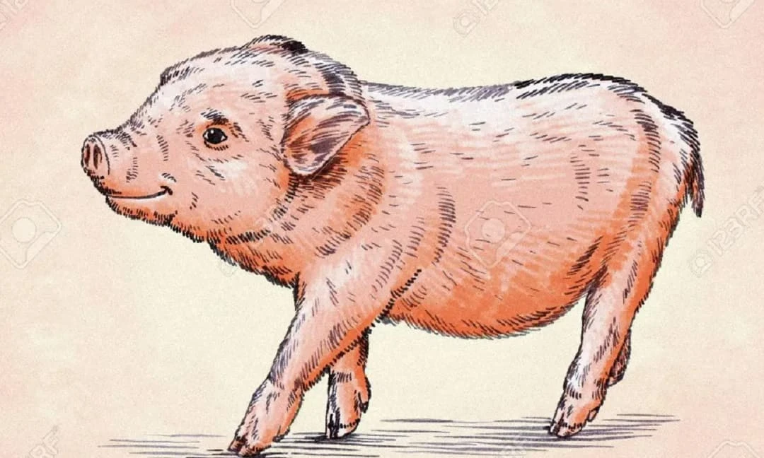 Top 3 con giáp giàu sang chẳng ai sánh kịp trong 2 tháng tới