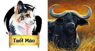 Cuối tuần (22-23/10): 4 con giáp khó thoát vận xui, tiền bạc tiêu tán