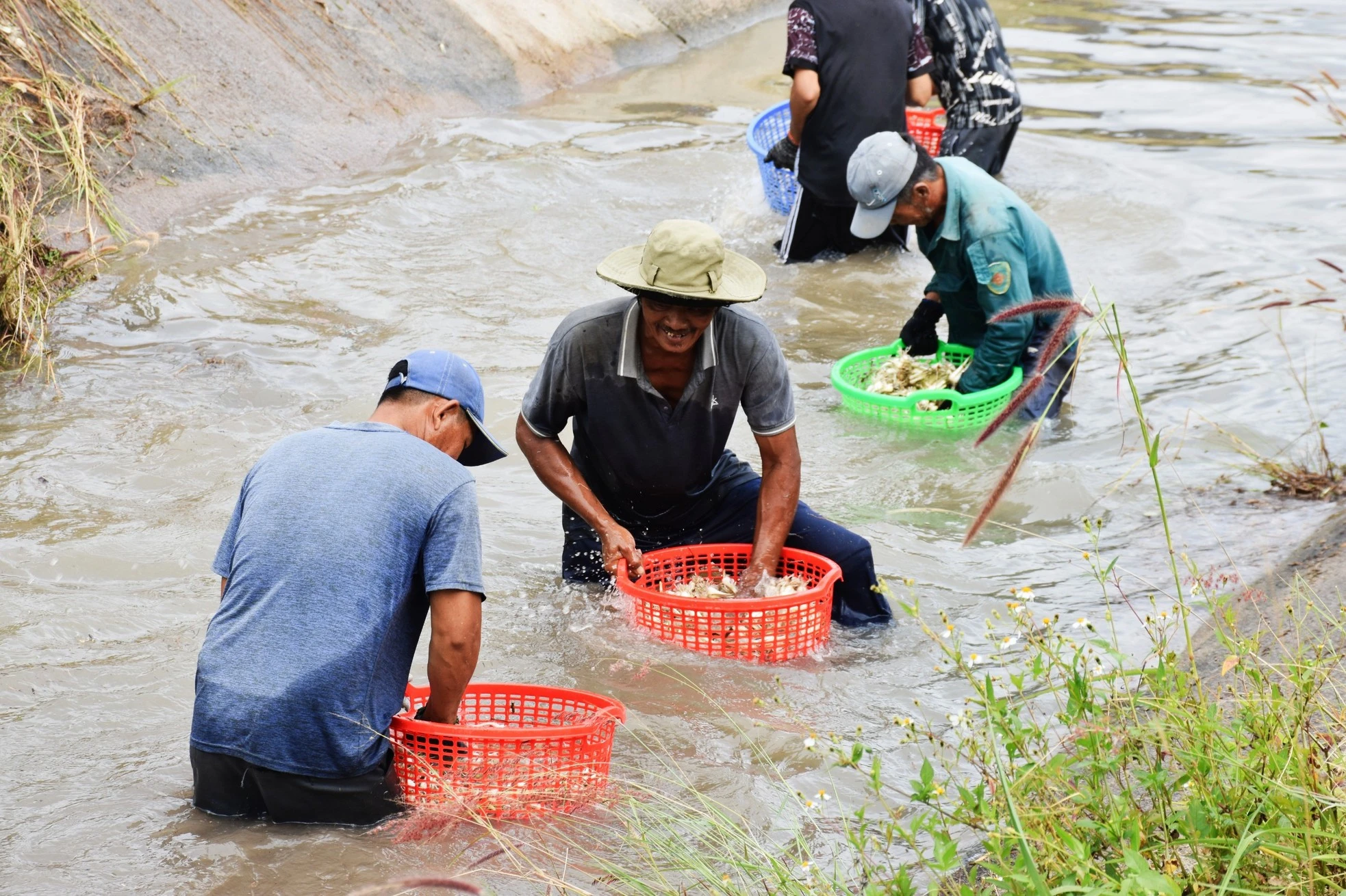 Người dân Cam Lâm thức dậy từ 2h sáng rửa kiệu, "vui như Tết"