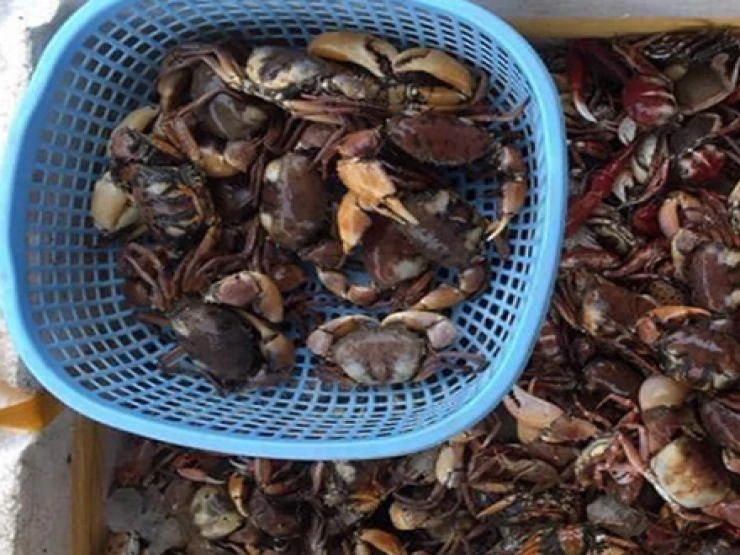 Bán "đặc sản của nhà nghèo" ở thành phố khách đặt tới tấp 