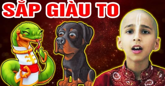 3 tuổi 2023 trúng số, năm 2024 giàu to, 1 tuổi làm gì cũng mất tiền