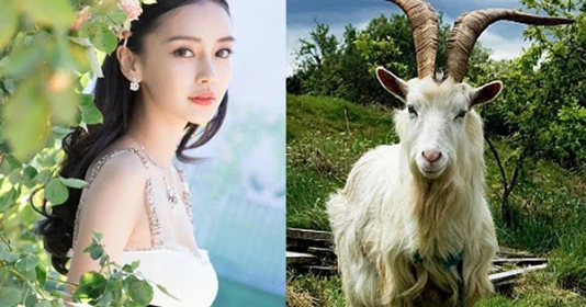 3 tuổi là cỗ máy in tiền năm 2023: Thích giả nghèo nhưng giàu sụ