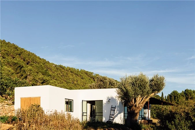 Nhà cấp 4 ấn tượng nhờ kết hợp giữa kiến trúc hiện đại với thiên nhiên hoang sơ