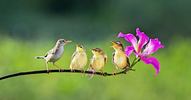 Hết tháng 1 Âm lịch, 4 con giáp không còn nghèo khó