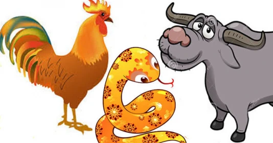 Người sinh những năm này, từ 1/4 trở đi hết khổ, đổi đời đại gia