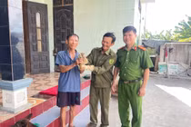 Người dân giao nộp cá thể cu li quý hiếm ở Quảng Bình
