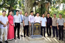 Hai cây trầm hương cổ thụ ở Hà Tĩnh được công nhận là “Cây di sản Việt Nam”