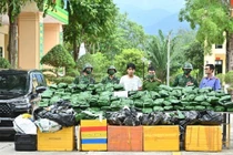 Bắt giữ đường dây mua bán 240 kg cần sa khô ở Hà Tĩnh 