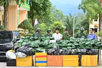 Triệt phá đường dây mua bán 240 kg cần sa khô ở Hà Tĩnh