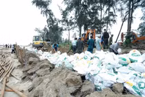 Chính phủ thành lập Ban Chỉ đạo tiền phương phòng, chống bão số 5 tại Nghệ An