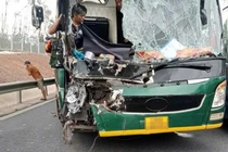 Xe khách nát đầu sau va chạm với xe đầu kéo trên cao tốc