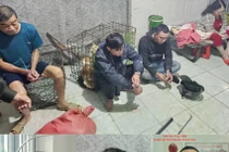 Triệt xoá đường dây chuyên trộm chó ở Khánh Hoà