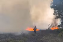 Gần 400 người tham gia chữa cháy rừng ở Huế