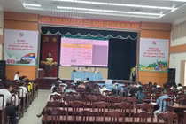 Đấu giá thành công 57 lô đất, Xuyên Mộc thu hơn 75 tỷ đồng