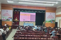 Đấu giá thành công 57 lô đất, Xuyên Mộc thu hơn 75 tỷ đồng