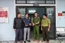 Người dân TP Huế giao nộp 2 cá thể rùa quý hiếm