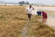 Mưa lũ bất thường gây thiệt hại lớn ở Hà Tĩnh