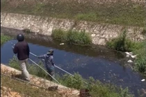 Cá chết nổi trắng mặt kênh ở khu công nghiệp Phong Điền