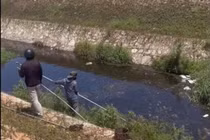 Cá chết nổi trắng mặt kênh ở khu công nghiệp Phong Điền