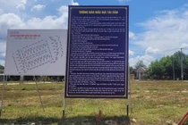 Vũng Tàu đấu giá thành công 82 lô đất, cao nhất gần 2,5 tỷ