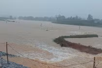 Nỗ lực tìm kiếm 4 nạn nhân bị nước lũ cuốn trôi ở Quảng Bình