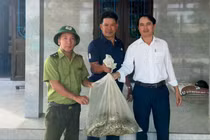 Trăn gấm quý hiếm nặng 12kg bò vào nhà dân bắt gà