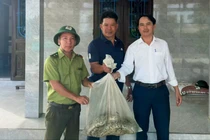 Trăn gấm quý hiếm nặng 12kg bò vào nhà dân bắt gà