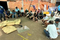 Triệt phá 2 tụ điểm đá gà ăn tiền, bắt giữ 28 đối tượng