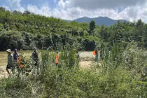 Tìm thấy người đàn ông mất tích khi đi chăn bò ở Quảng Trị