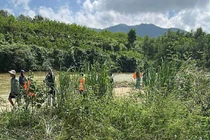 Tìm thấy người đàn ông mất tích khi đi chăn bò ở Quảng Trị