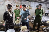 Hãi hùng cơ sở dùng chất cấm sản xuất giá đỗ ở Hà Tĩnh