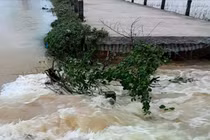 Lũ cuốn trôi 7m đường đê ở TP Huế