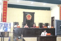 Vận chuyển thuê 30kg ma tuý, 2 nữ quái lĩnh án chung thân