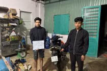 Bắt 2 đối tượng gây ra hàng loạt vụ trộm cắp tài sản ở Lâm Đồng