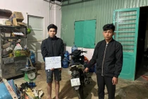 Bắt 2 đối tượng gây ra hàng loạt vụ trộm cắp tài sản ở Lâm Đồng