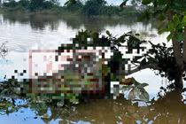 Thi thể người phụ nữ mắc trên cành cây giữa ruộng