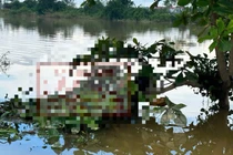 Thi thể người phụ nữ mắc trên cành cây giữa ruộng