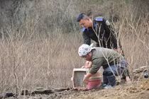 Tái thả nhiều động vật quý hiếm về lại tự nhiên ở Hà Tĩnh