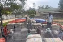 Khẩn trương rà soát xi măng hỗ trợ xây dựng nông thôn mới