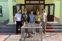 Tiếp nhận nhiều cá thể động vật quý hiếm ở Huế