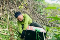 Thả 58 cá thể cầy vòi mốc về môi trường tự nhiên ở Hà Tĩnh