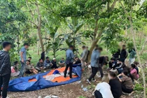 Triệt xoá ổ bạc “khủng” giữa rừng cao su ở Nghệ An