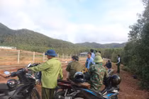 Trại lợn ở Quảng Trị bị xử phạt 320 triệu đồng do vi phạm môi trường