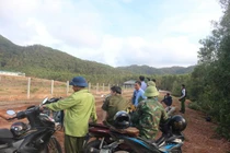 Trại lợn ở Quảng Trị bị xử phạt 320 triệu đồng do vi phạm môi trường