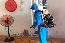 Người đàn ông ở Huế tử vong do nhiễm liên cầu khuẩn lợn