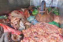 Rùng mình phát hiện hàng tấn nội tạng biến chất ở Hà Tĩnh