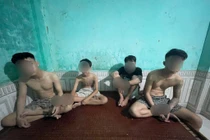 Triệt xoá ổ nhóm mua bán, sử dụng trái phép ma tuý ở Quảng Trị