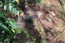 Phát hiện thi thể không nguyên vẹn gần bờ biển ở Lâm Đồng