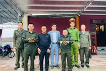 Phát hiện 2 cá thể rùa quý hiếm trong đền Đại An ở Hà Tĩnh