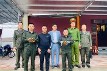 Phát hiện 2 cá thể rùa quý hiếm trong đền Đại An ở Hà Tĩnh